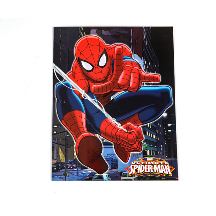 Spider Paper Cover